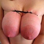 annonce soumise a Pau 